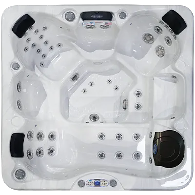 Avalon EC-849L hot tubs for sale in Louisville